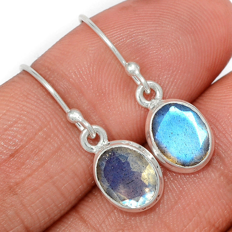 1.1" Labradorite Faceted Earrings - LBFE500