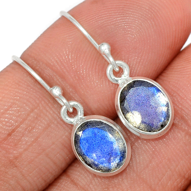 1.1" Labradorite Faceted Earrings - LBFE501