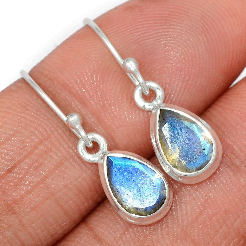 1.1" Labradorite Faceted Earrings - LBFE503