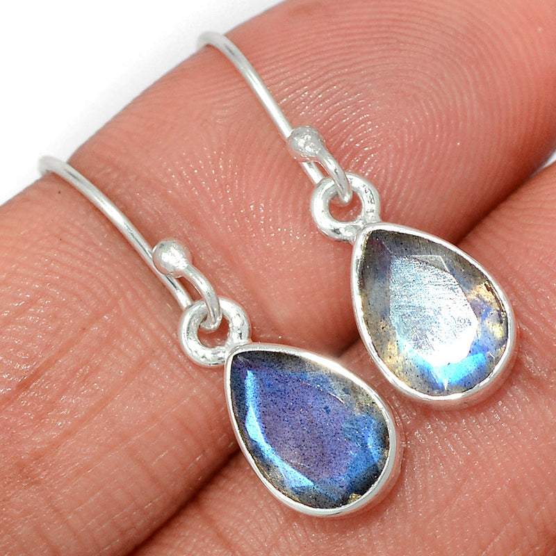 1.1" Labradorite Faceted Earrings - LBFE505