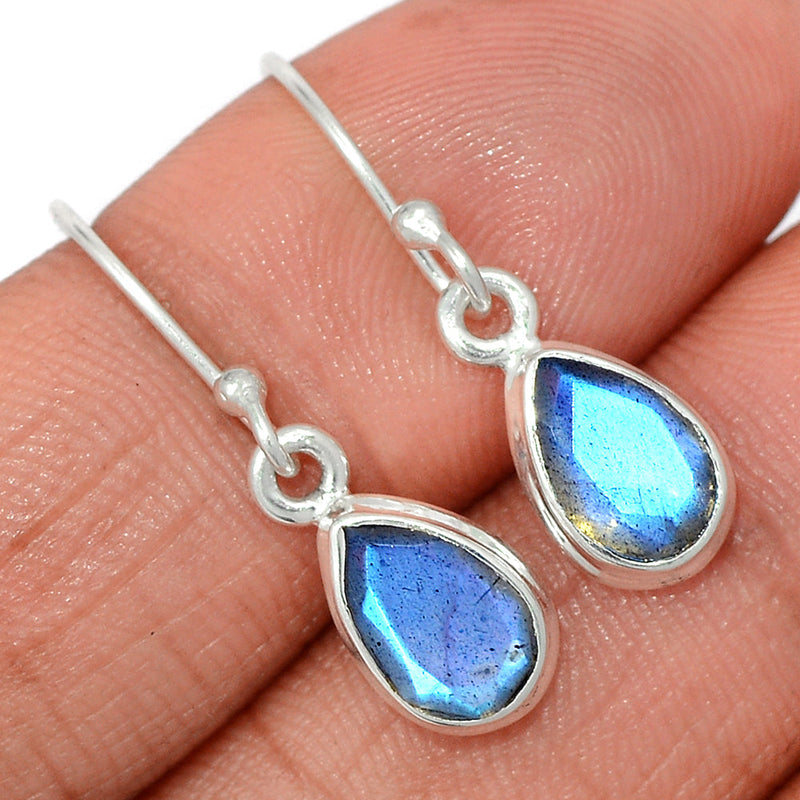 1.1" Labradorite Faceted Earrings - LBFE508