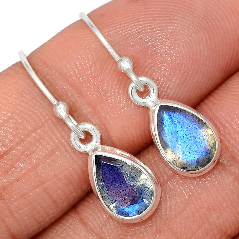 1.1" Labradorite Faceted Earrings - LBFE522