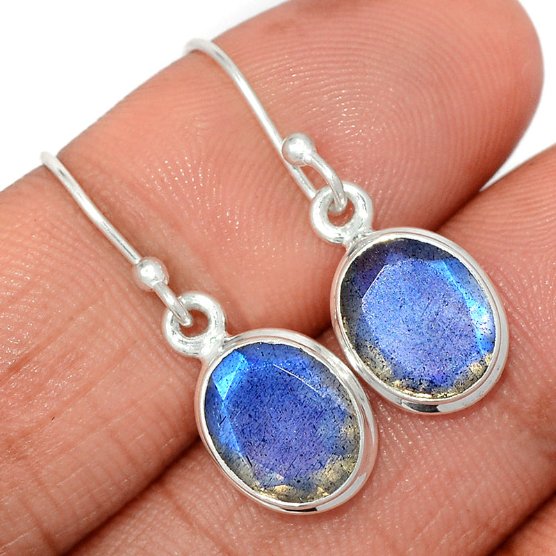 1.1" Labradorite Faceted Earrings - LBFE527