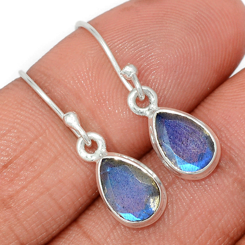 1.1" Labradorite Faceted Earrings - LBFE533