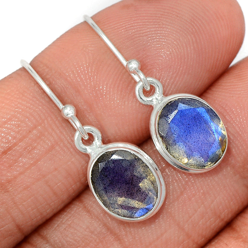 1.1" Labradorite Faceted Earrings - LBFE534