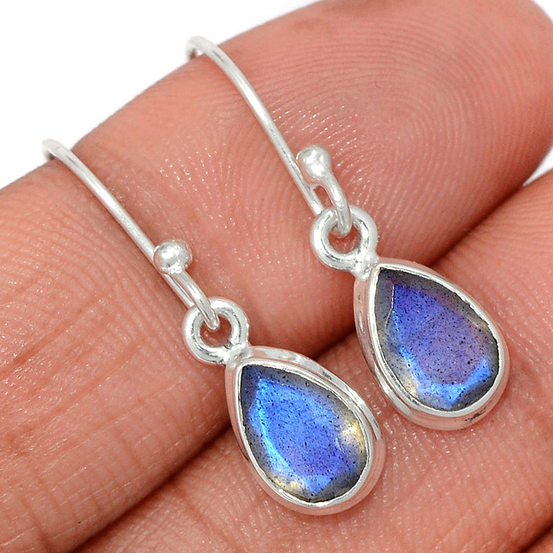 1.1" Labradorite Faceted Earrings - LBFE535