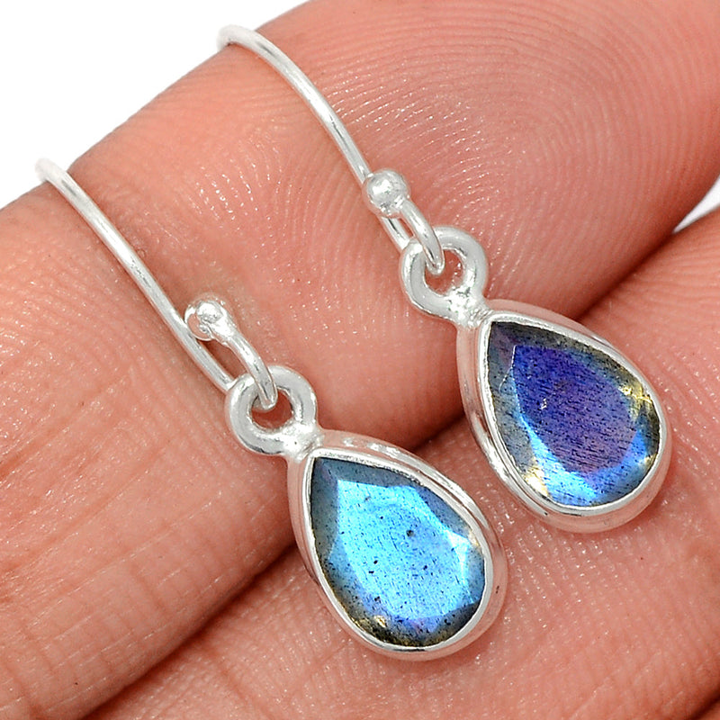 1.1" Labradorite Faceted Earrings - LBFE538