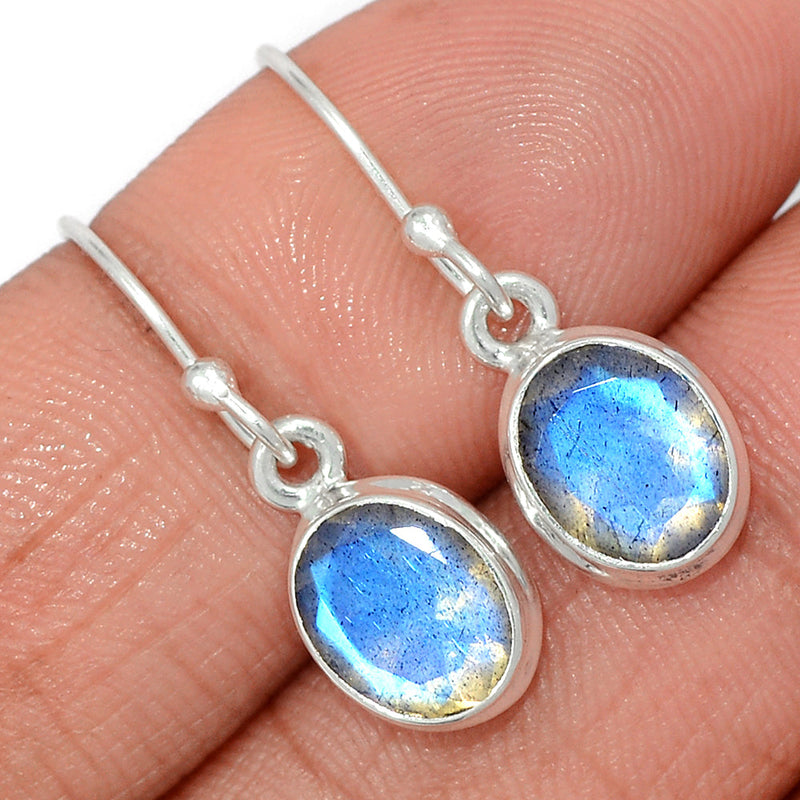 1.1" Labradorite Faceted Earrings - LBFE541