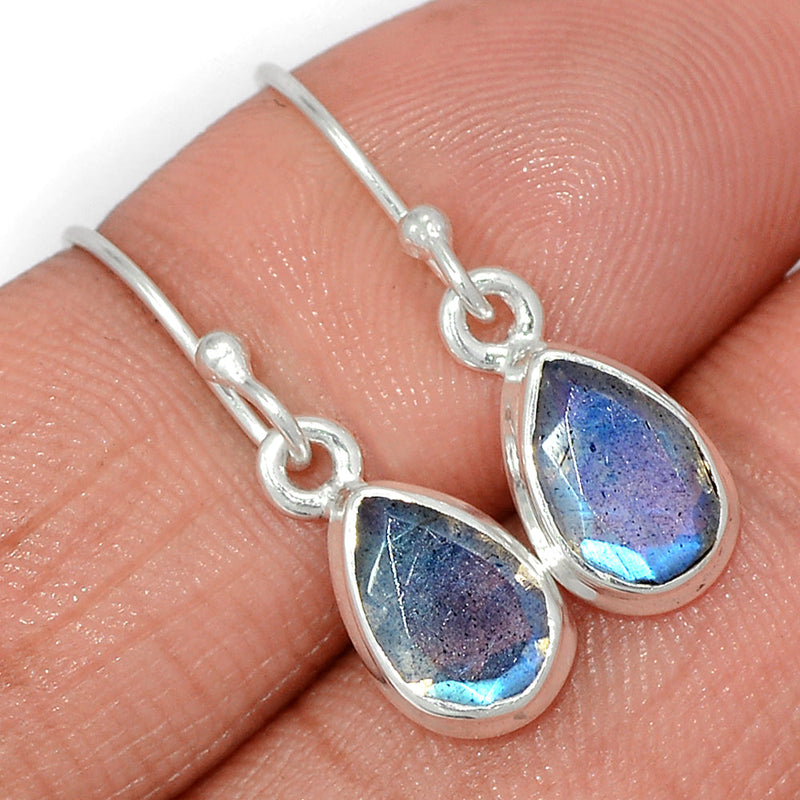 1.1" Labradorite Faceted Earrings - LBFE542