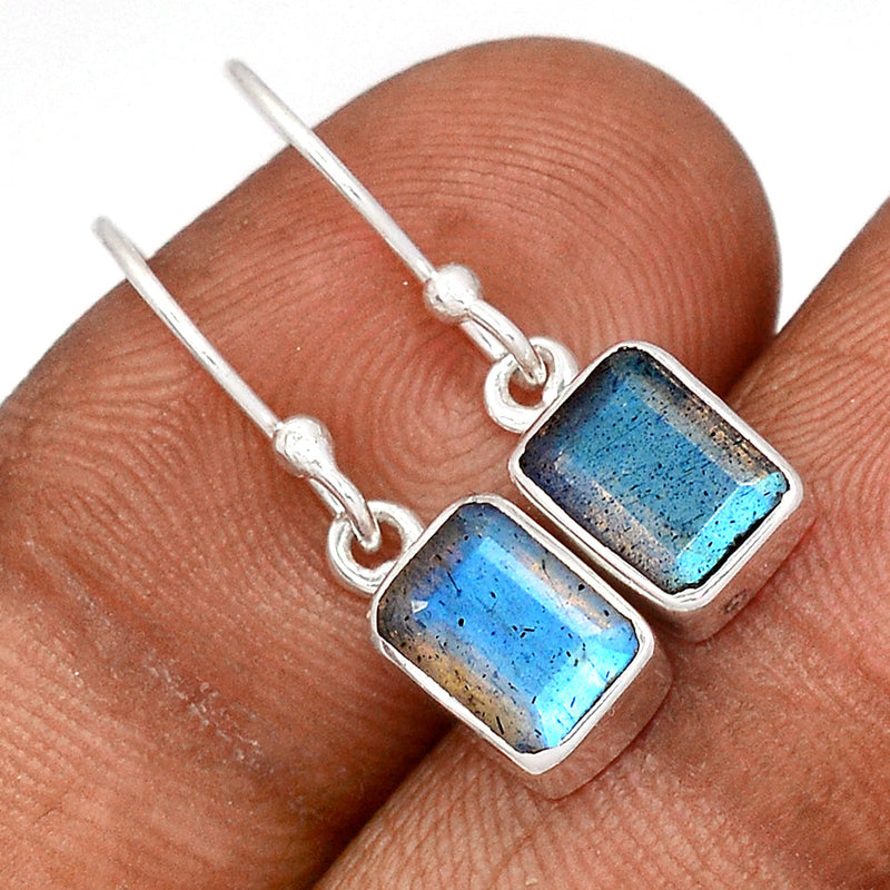 1.1" Labradorite Faceted Earrings - LBFE591