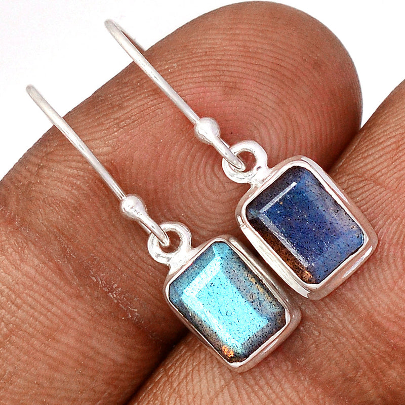 1.1" Labradorite Faceted Earrings - LBFE601