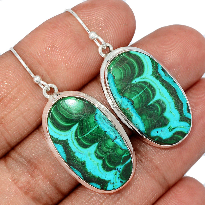 1.6" Malachite In Chrysocolla Earrings - MICE896