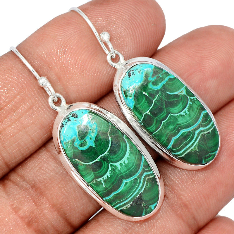 1.6" Malachite In Chrysocolla Earrings - MICE915