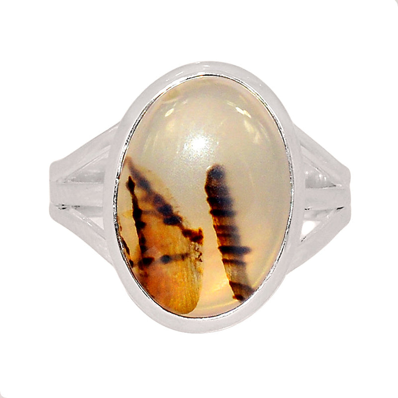 Montana Agate Ring - MNTR656