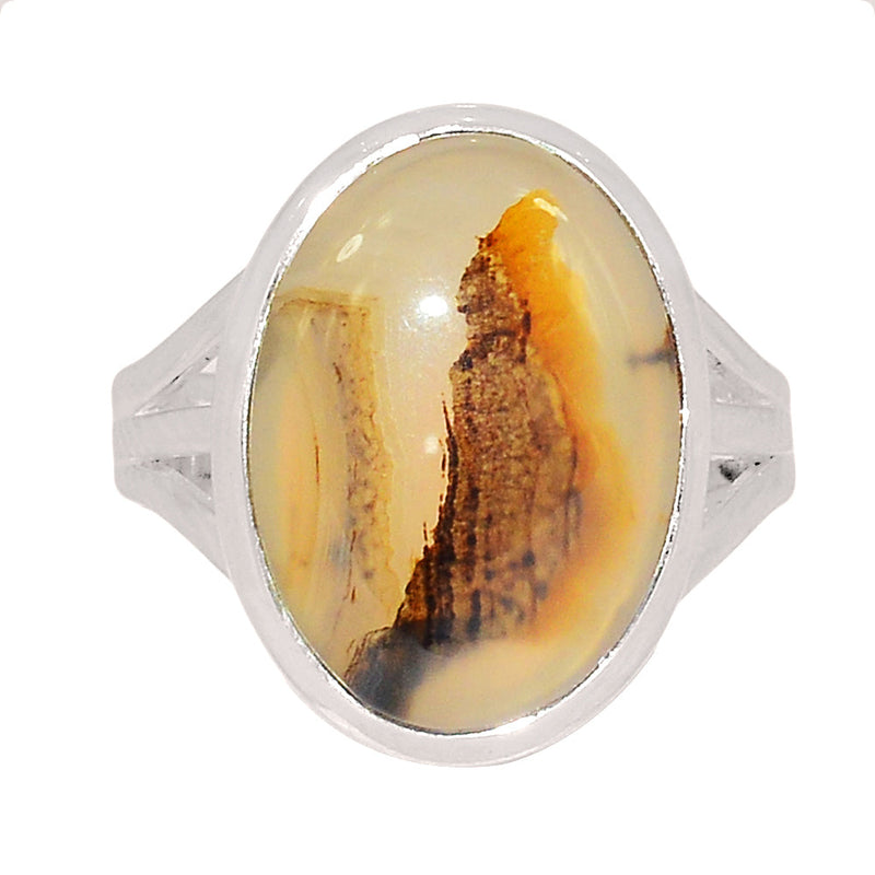 Montana Agate Ring - MNTR665