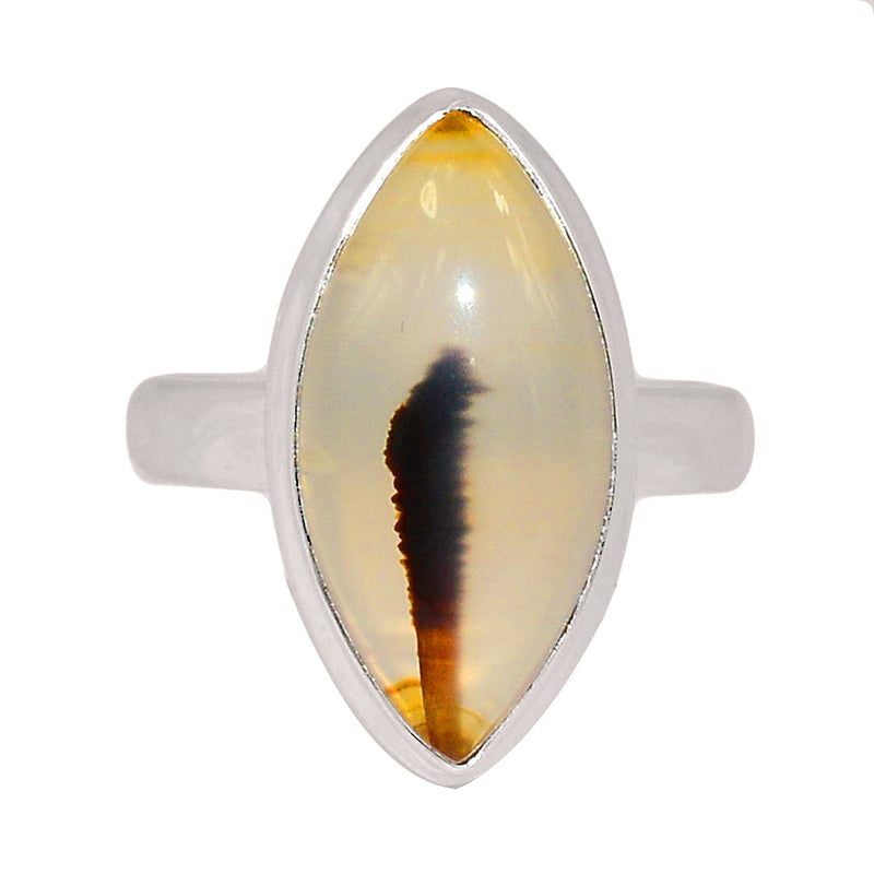 Montana Agate Ring - MNTR668