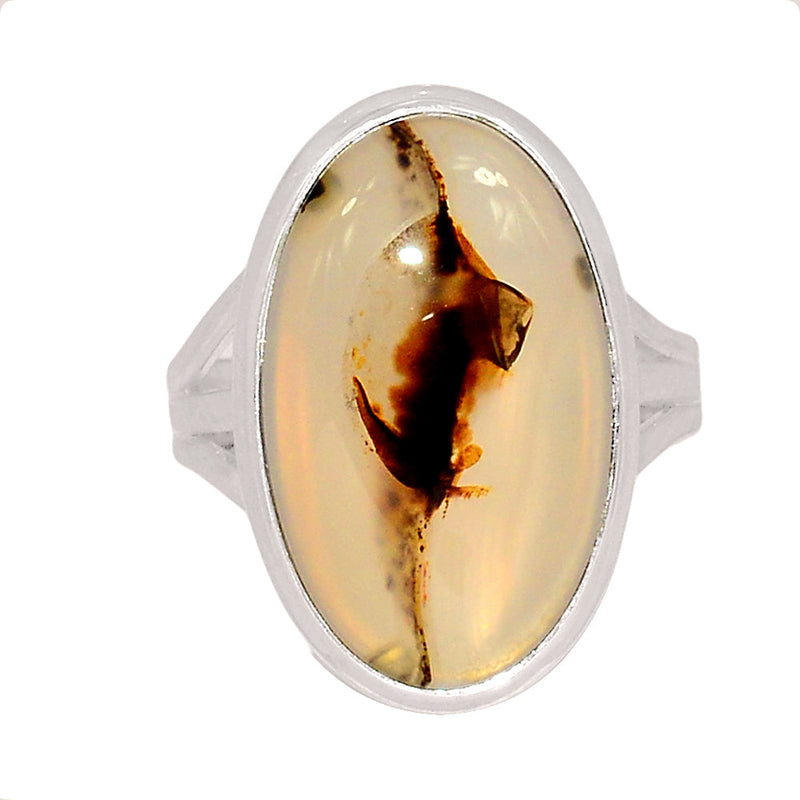 Montana Agate Ring - MNTR672