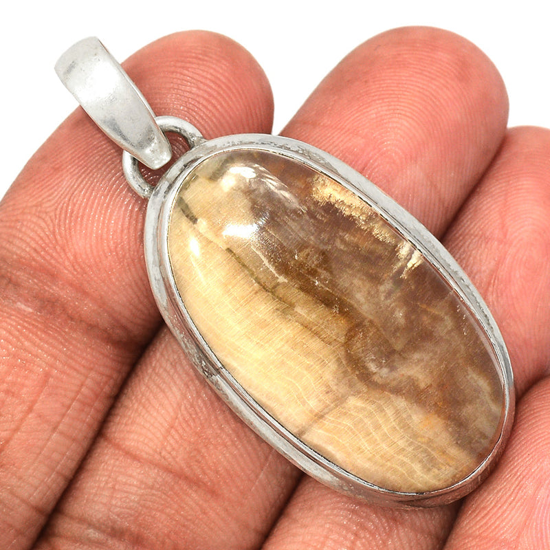 2" Petrified Wood Cabochon Pendants - PWCP111