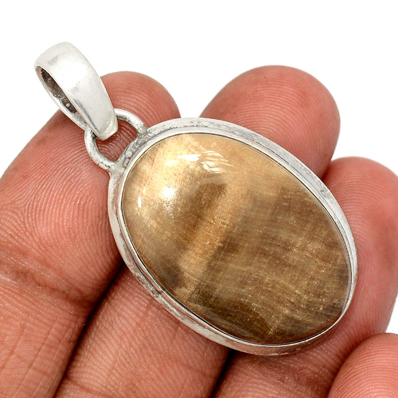 1.7" Petrified Wood Cabochon Pendants - PWCP118