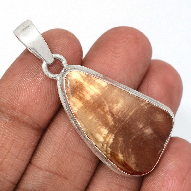 2" Petrified Wood Cabochon Pendants - PWCP120