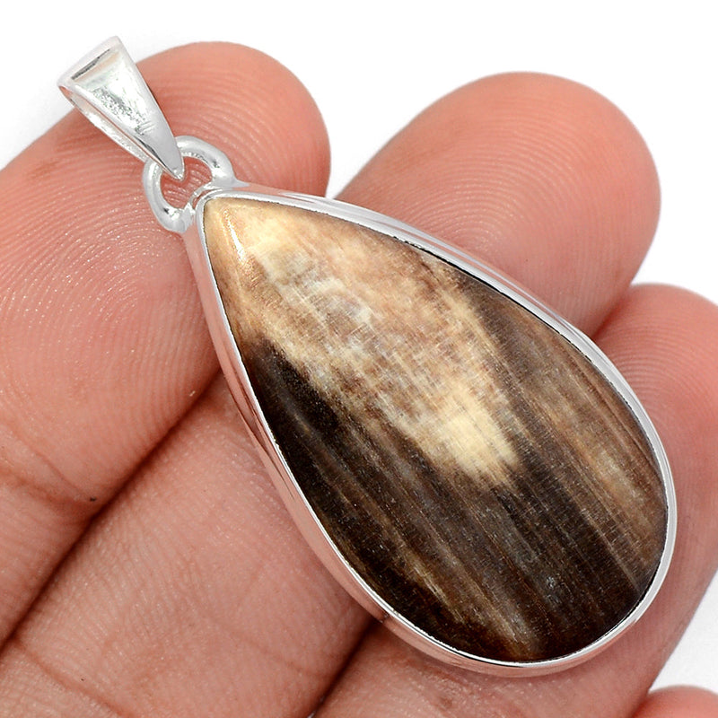 1.7" Petrified Wood Cabochon Pendants - PWCP124