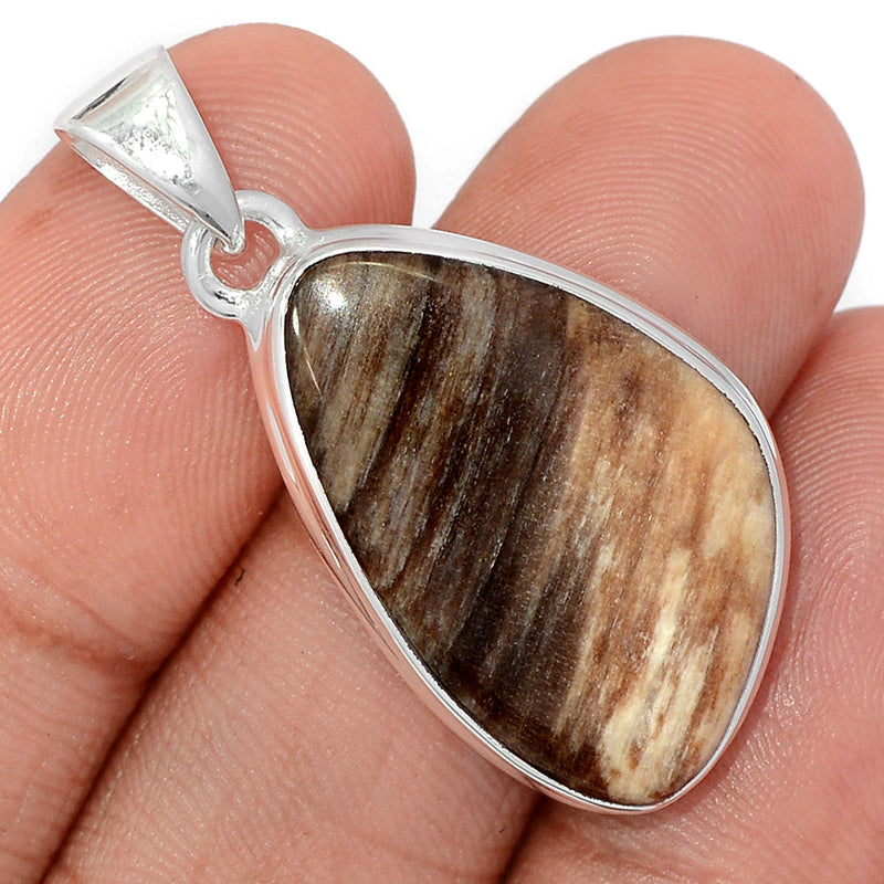 1.5" Petrified Wood Cabochon Pendants - PWCP137