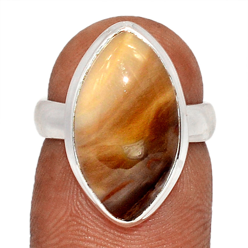 Petrified Wood Cabochon Ring - PWCR59