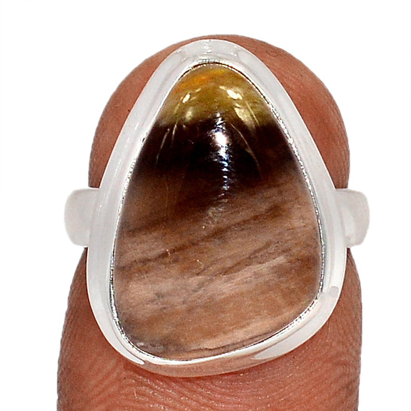 Petrified Wood Cabochon Ring - PWCR60