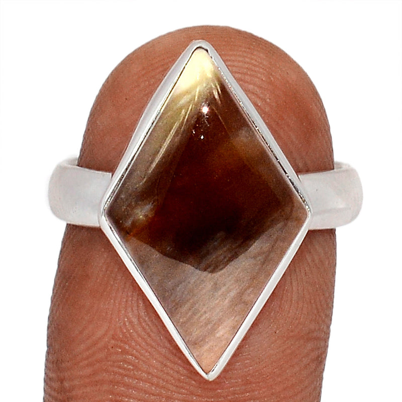 Petrified Wood Cabochon Ring - PWCR81