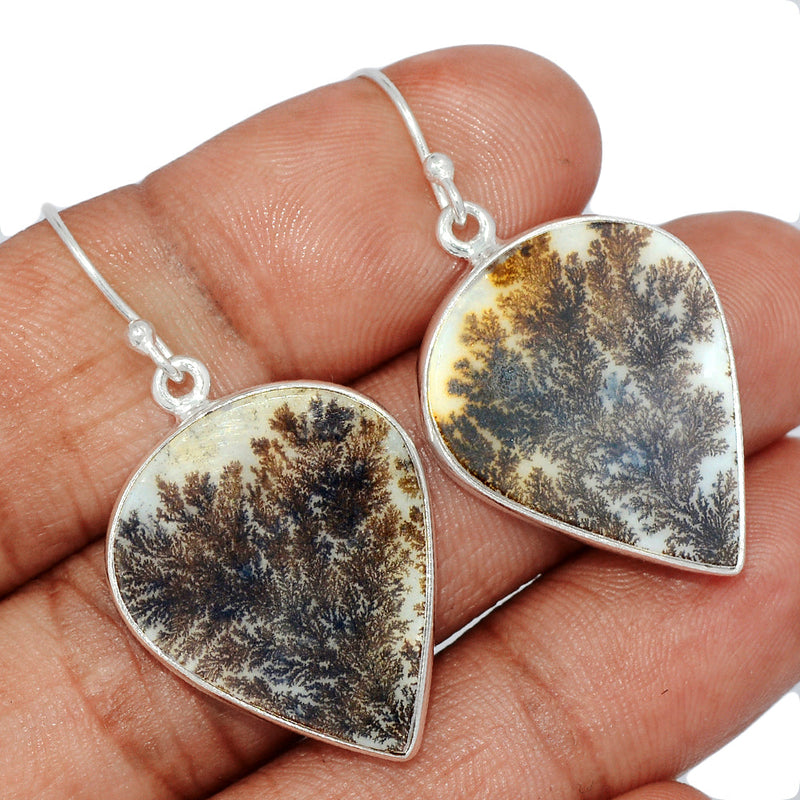 1.6" Scenic Dendritic Agate Earrings - SDAE64