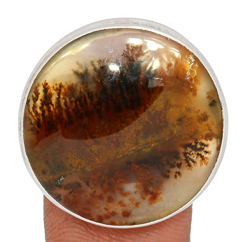 Scenic Dendrite Agate Ring - SDAR1842