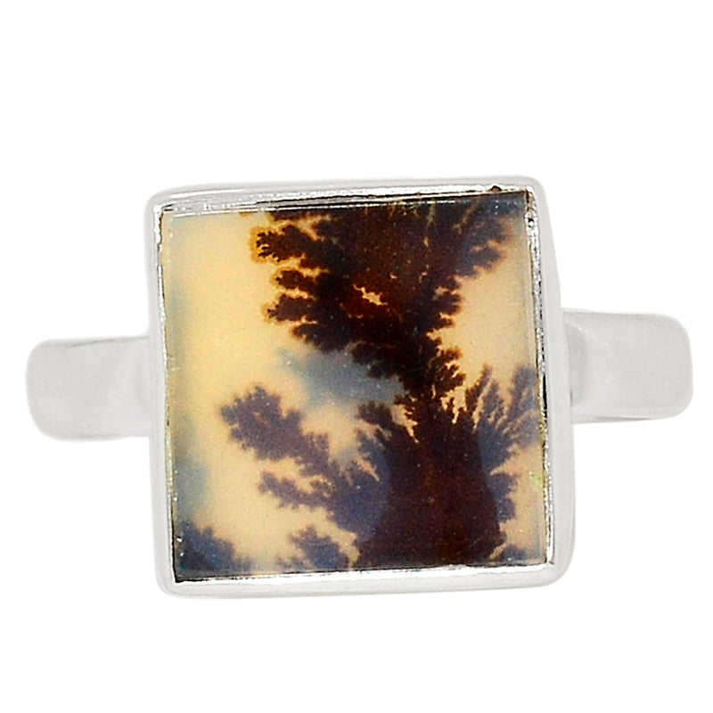 Scenic Dendrite Agate Ring - SDAR1843