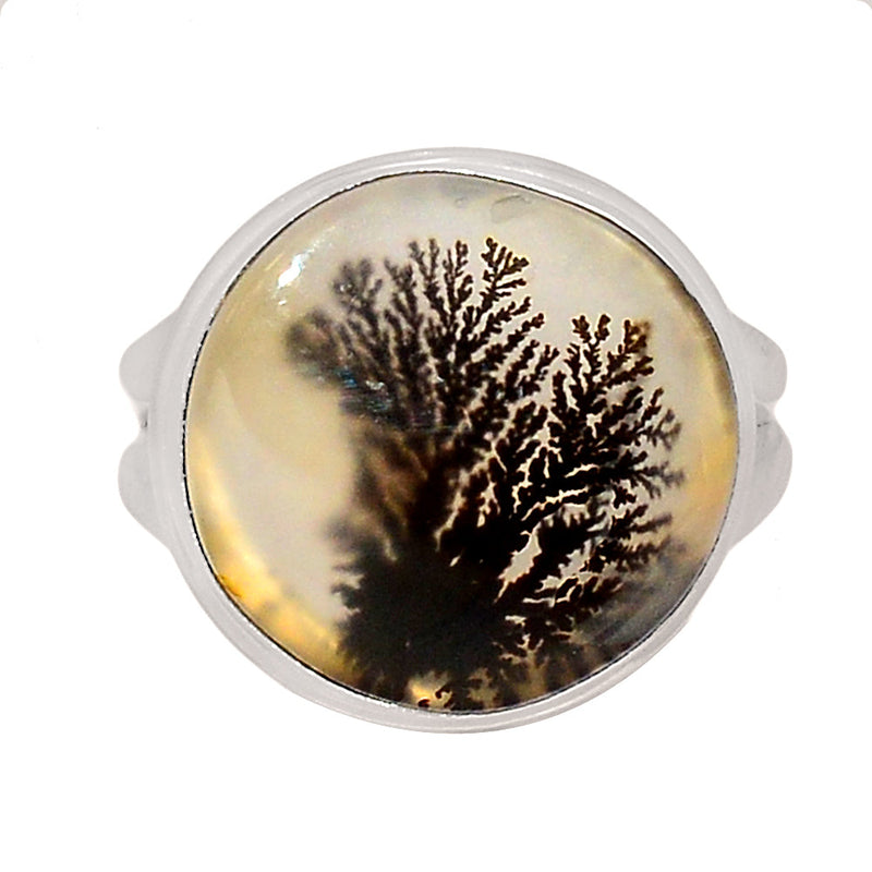 Scenic Dendritic Agate Ring - SDAR1902