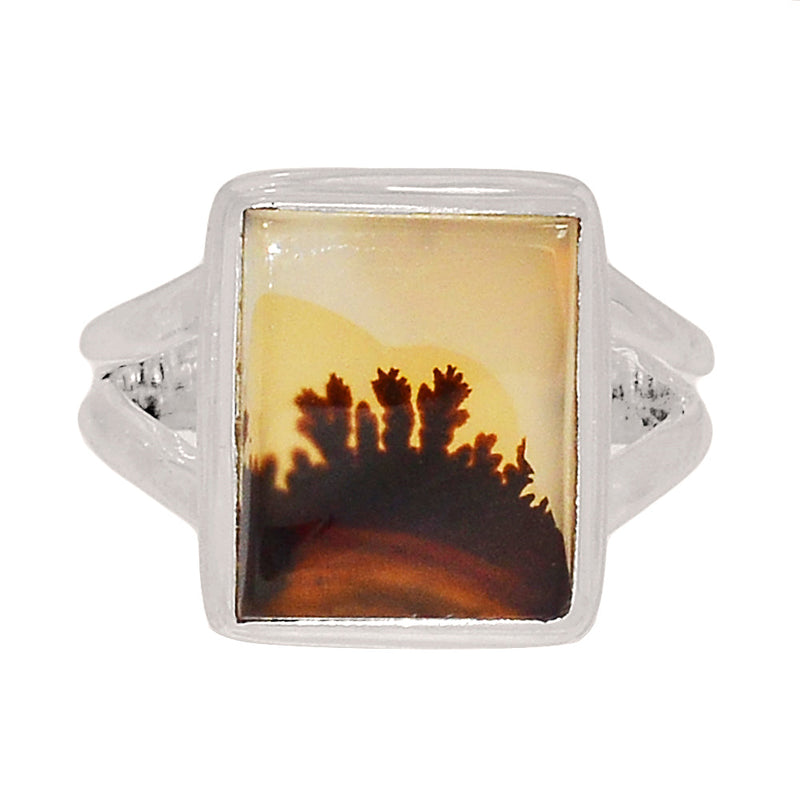 Scenic Dendritic Agate Ring - SDAR1905