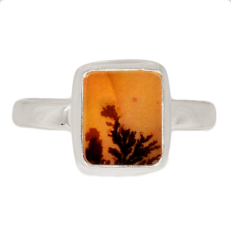 Scenic Dendrite Agate Ring - SDAR1907