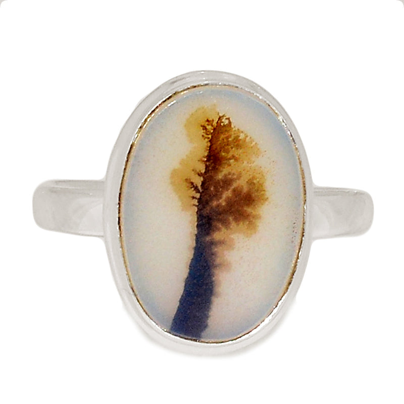 Scenic Dendrite Agate Ring - SDAR1908