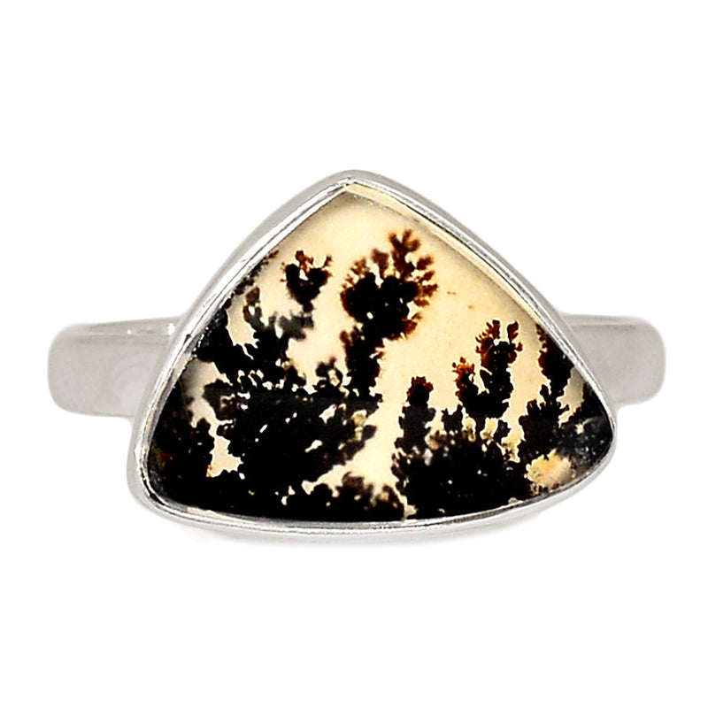 Scenic Dendrite Agate Ring - SDAR1910