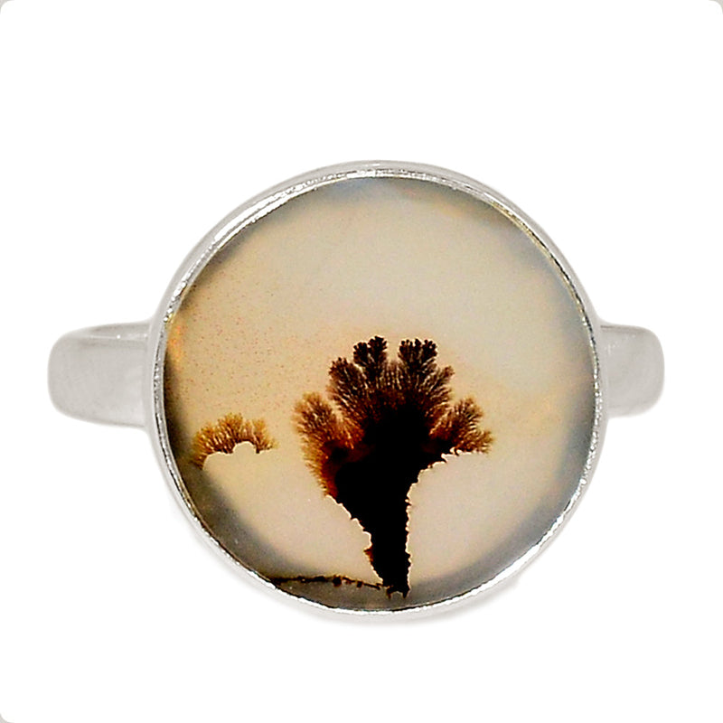 Scenic Dendrite Agate Ring - SDAR1911