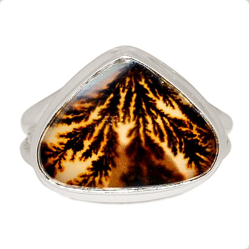 Scenic Dendrite Agate Ring - SDAR1914