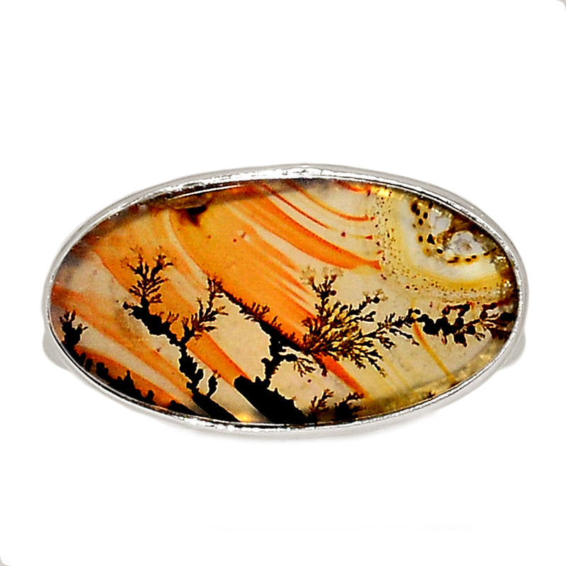 Scenic Dendrite Agate Ring - SDAR1916