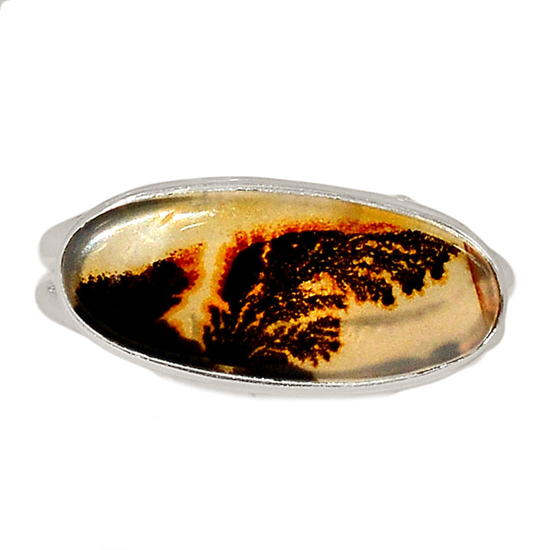 Scenic Dendrite Agate Ring - SDAR1918