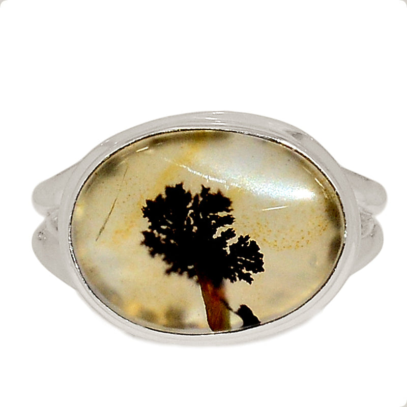 Scenic Dendrite Agate Ring - SDAR1919