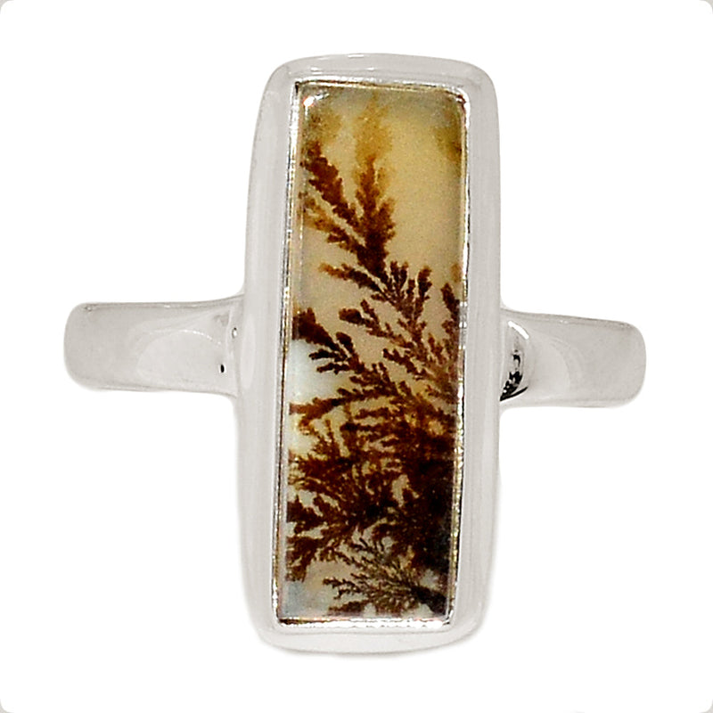 Scenic Dendrite Agate Ring - SDAR1933