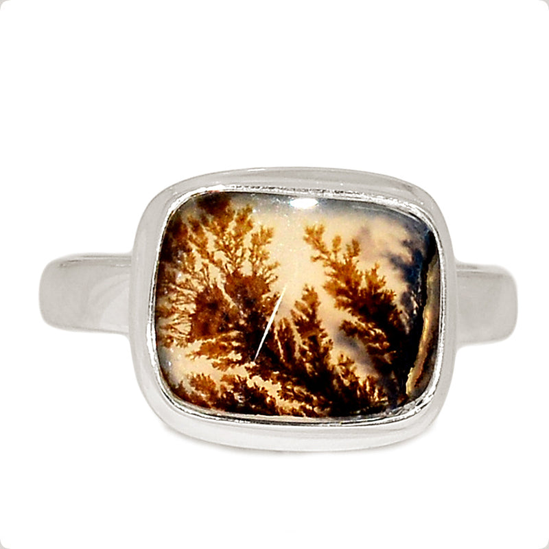 Scenic Dendrite Agate Ring - SDAR1945