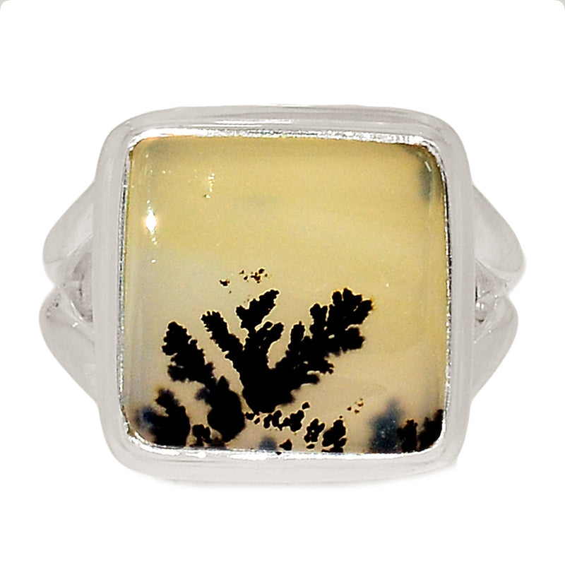 Scenic Dendrite Agate Ring - SDAR1949