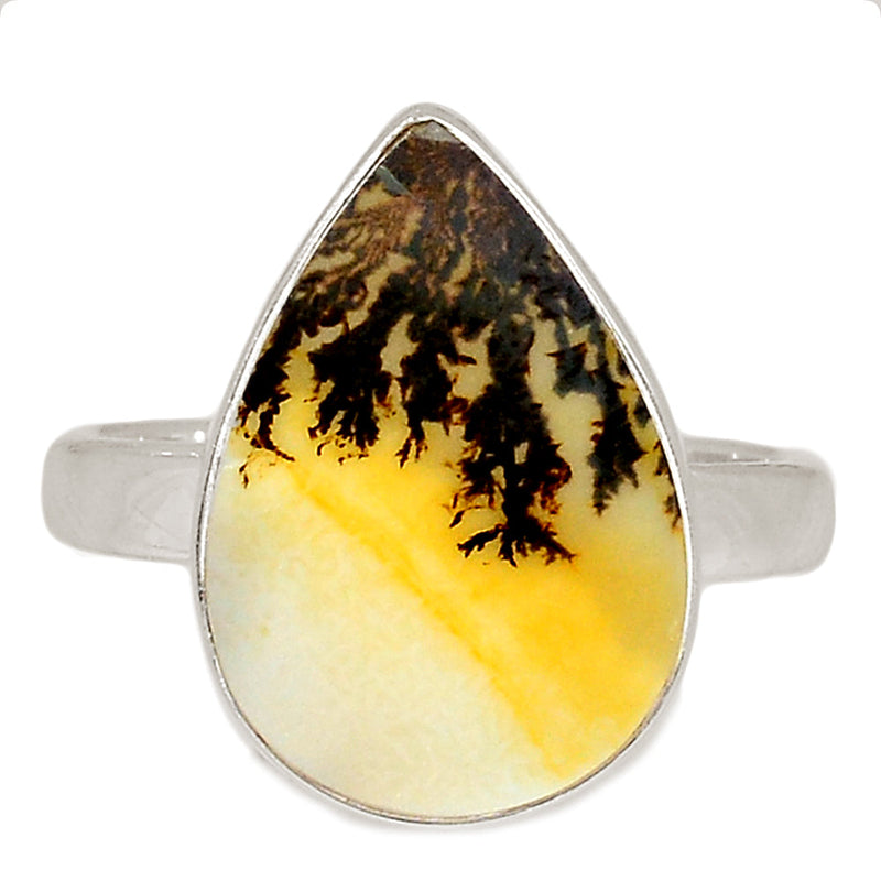 Scenic Dendrite Agate Ring - SDAR1953