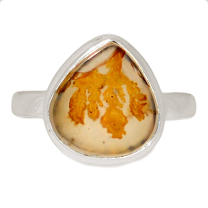 Scenic Dendrite Agate Ring - SDAR1954