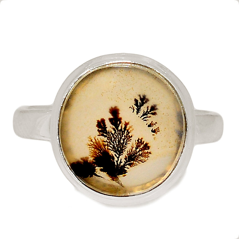 Scenic Dendrite Agate Ring - SDAR1958