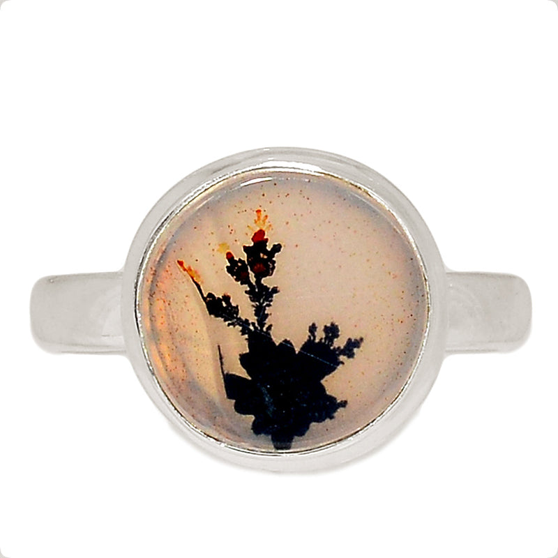 Scenic Dendrite Agate Ring - SDAR1963