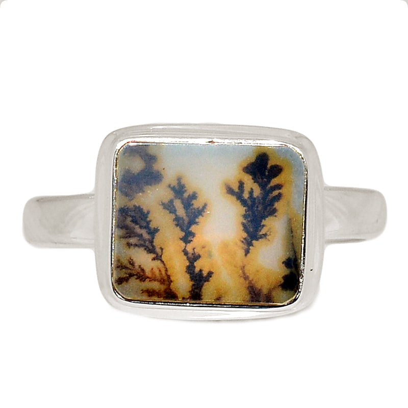 Scenic Dendrite Agate Ring - SDAR1964